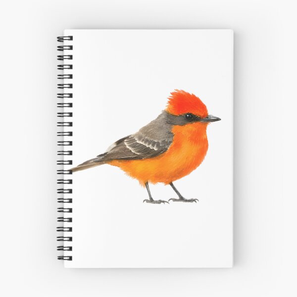 Item preview, Vermilion Flycatcher (Pyrocephalus obscurus) designed and sold by HOMETOWN86.