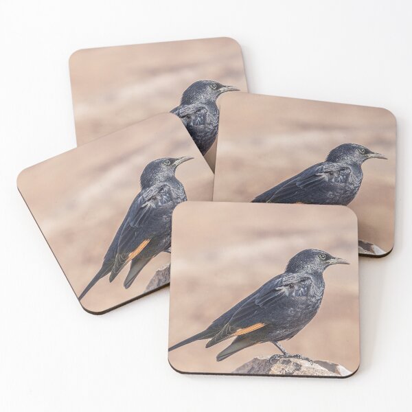 Item preview, Desert Starling designed and sold by MariaAbaza.