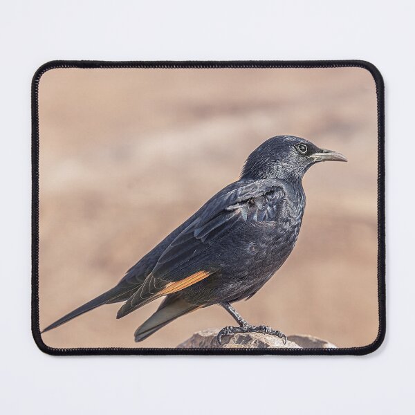 Item preview, Desert Starling designed and sold by MariaAbaza.