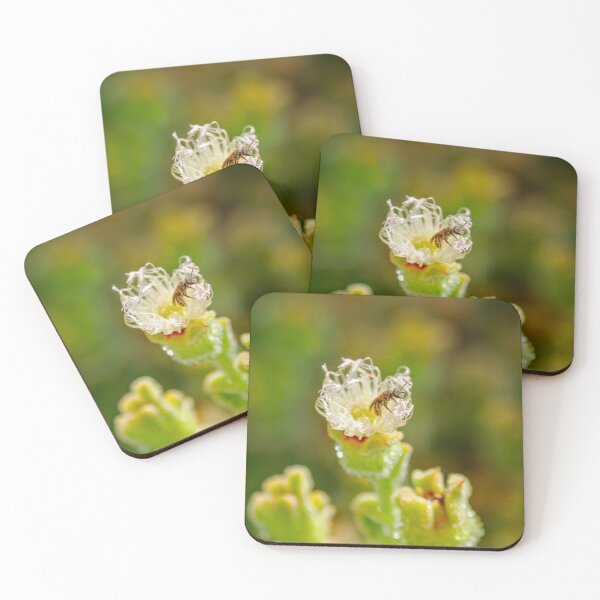 Item preview, Escape from the Ice Plant designed and sold by Ralph Goldsmith.