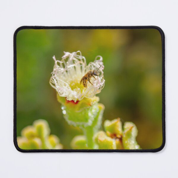Item preview, Escape from the Ice Plant designed and sold by Ralph Goldsmith.