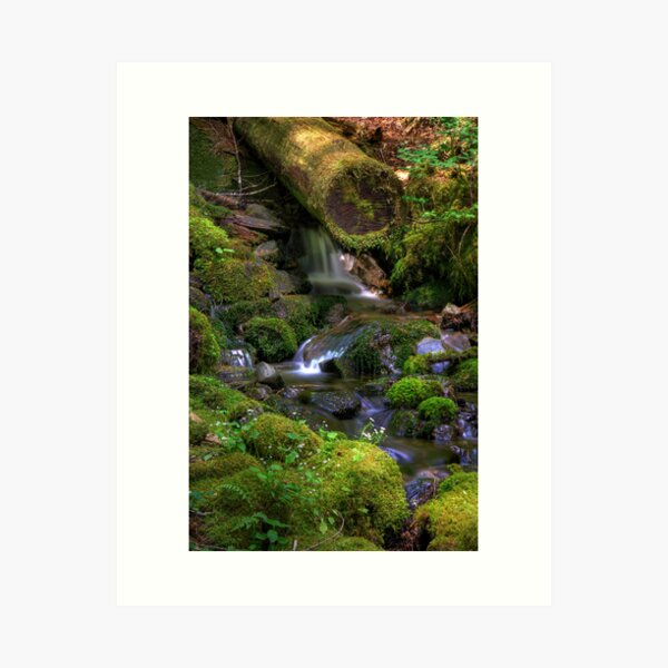Item preview, Hidden Brook - Olympic Mountains National Park designed and sold by John Absher.
