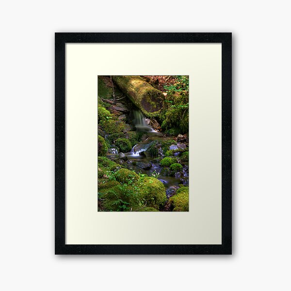 Item preview, Hidden Brook - Olympic Mountains National Park designed and sold by John Absher.
