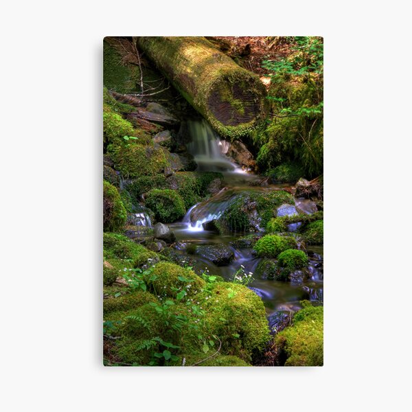 Item preview, Hidden Brook - Olympic Mountains National Park designed and sold by John Absher.