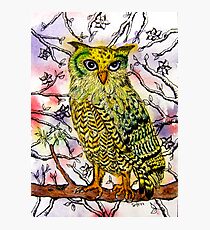 Yellow Owl Photographic Print