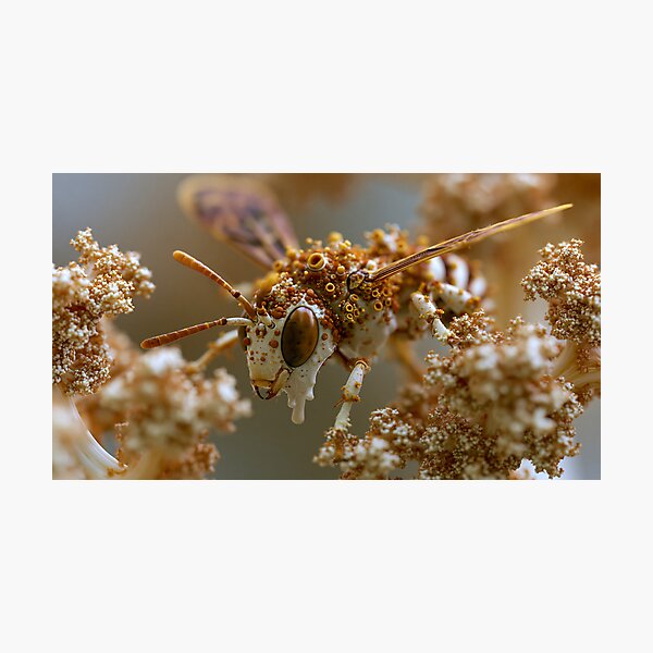 Item preview, HoneyBee1, Generative Ai designed and sold by CedNrb.