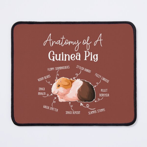 Item preview, Anatomy of a Guinea Pig designed and sold by RetroChunky®.