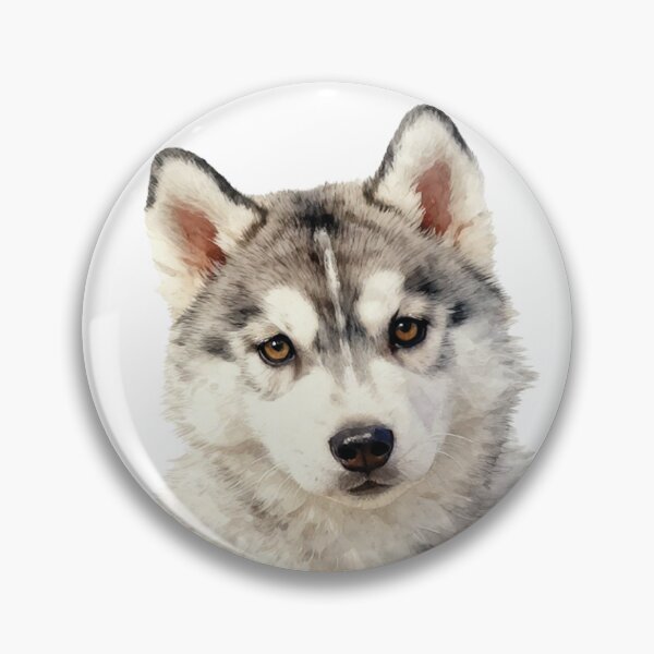 Item preview, Grey Siberian Husky puppy watercolor designed and sold by WildArtIT.
