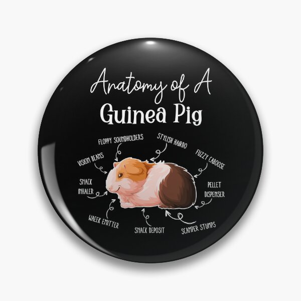 Item preview, Anatomy of a Guinea Pig designed and sold by RetroChunky®.