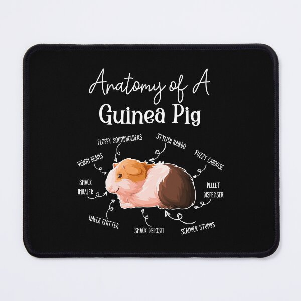 Item preview, Anatomy of a Guinea Pig designed and sold by RetroChunky®.
