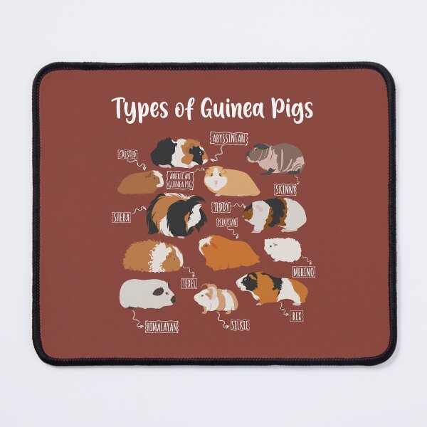 Item preview, Types of Guinea Pigs designed and sold by RetroChunky®.