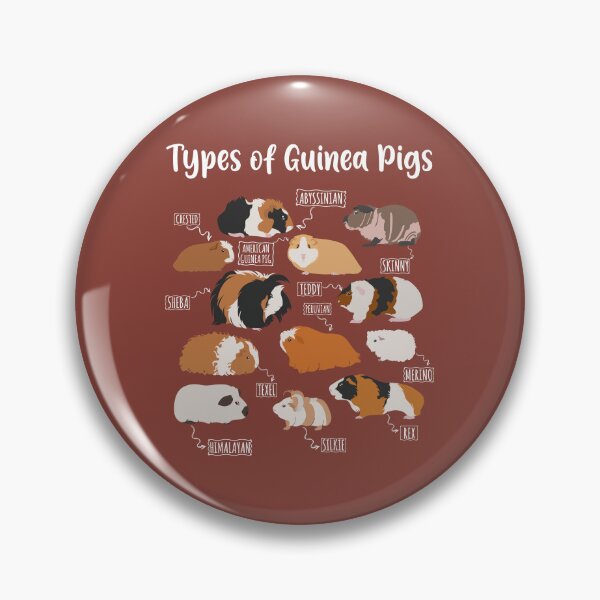 Item preview, Types of Guinea Pigs designed and sold by RetroChunky®.