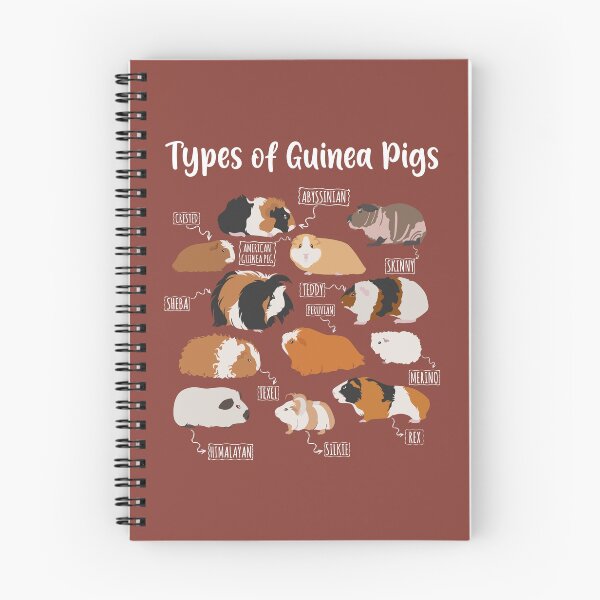 Item preview, Types of Guinea Pigs designed and sold by RetroChunky®.
