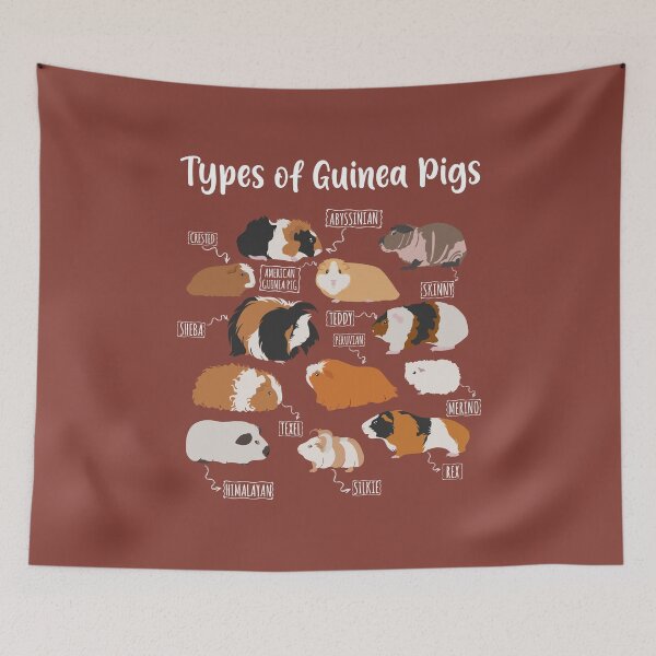 Item preview, Types of Guinea Pigs designed and sold by RetroChunky®.