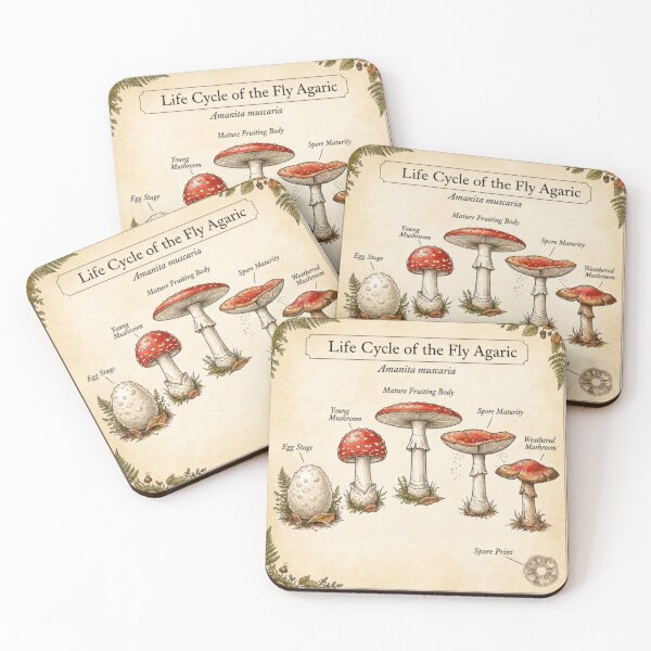 Item preview, Fly Agaric Amanita Muscaria Life Cycle Illustration designed and sold by IdeaSmith.