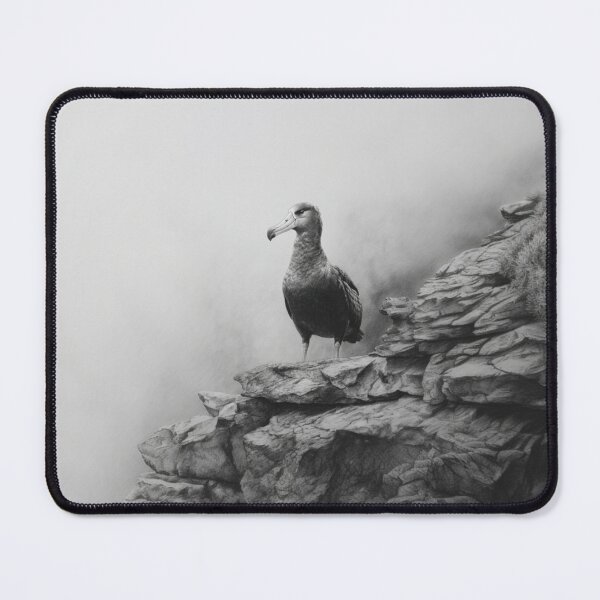 Item preview, A proud Albatross standing on coastal rocks, Birds in Motion designed and sold by CDC40.
