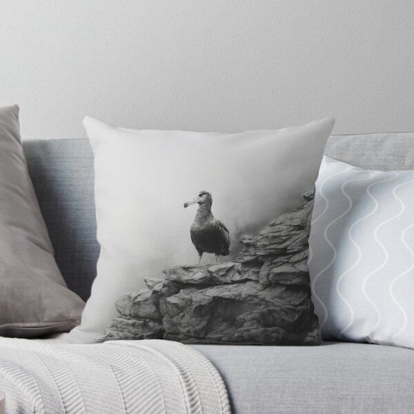 Item preview, A proud Albatross standing on coastal rocks, Birds in Motion designed and sold by CDC40.