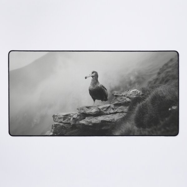 Item preview, A proud Albatross standing on coastal rocks, Birds in Motion designed and sold by CDC40.