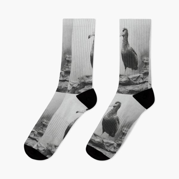 Item preview, A proud Albatross standing on coastal rocks, Birds in Motion designed and sold by CDC40.
