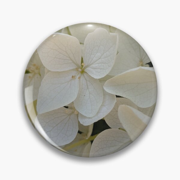 Item preview, White Annabelle Hydrangea Blooms. Soft Botanical Macro Photography designed and sold by PrettyAround.