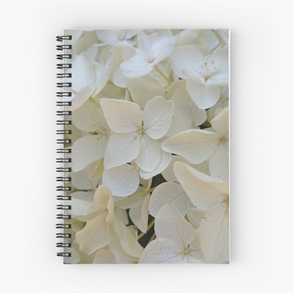 Item preview, White Annabelle Hydrangea Blooms. Soft Botanical Macro Photography designed and sold by PrettyAround.