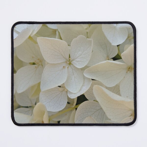 Item preview, White Annabelle Hydrangea Blooms. Soft Botanical Macro Photography designed and sold by PrettyAround.