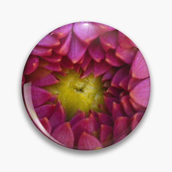 Item preview, Dahlia 'Negroni Sunset' Unfurling Bud. Macro Botanical Photography designed and sold by PrettyAround.