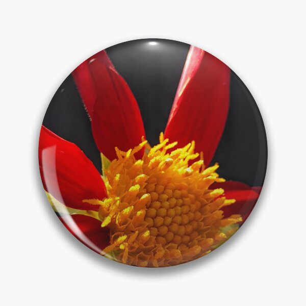 Item preview, Dahlia 'Honka Vino' in Full Bloom. Backlit Macro Photography designed and sold by PrettyAround.