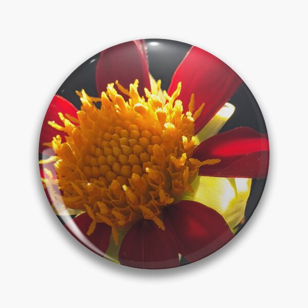 Item preview, Dahlia 'Honka Vino' Golden Centre. Close-Up Botanical Photography designed and sold by PrettyAround.