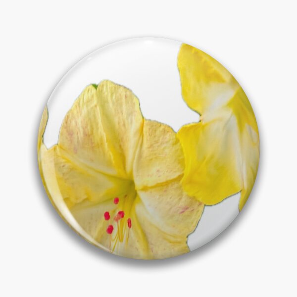 Item preview, Isolated Yellow Four O'Clock Flower Botanical Graphic Cutout designed and sold by BalkanBloom.