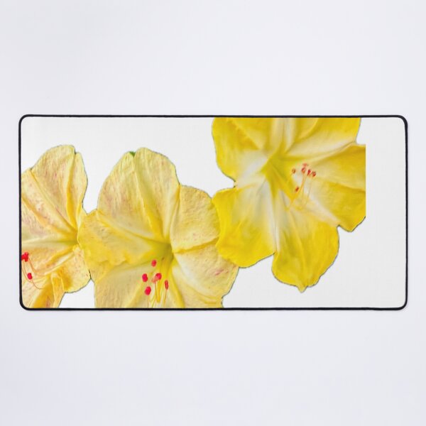 Item preview, Isolated Yellow Four O'Clock Flower Botanical Graphic Cutout designed and sold by BalkanBloom.