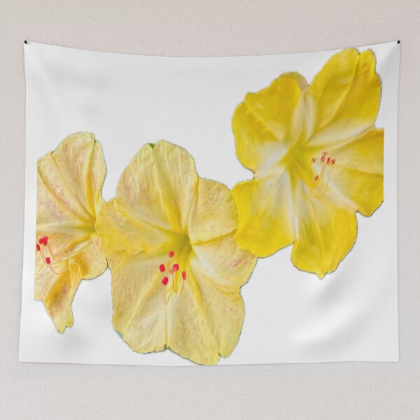 Item preview, Isolated Yellow Four O'Clock Flower Botanical Graphic Cutout designed and sold by BalkanBloom.