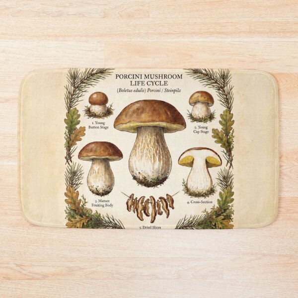 Item preview, Porcini Boletus Edulis Life Cycle Illustration designed and sold by IdeaSmith.