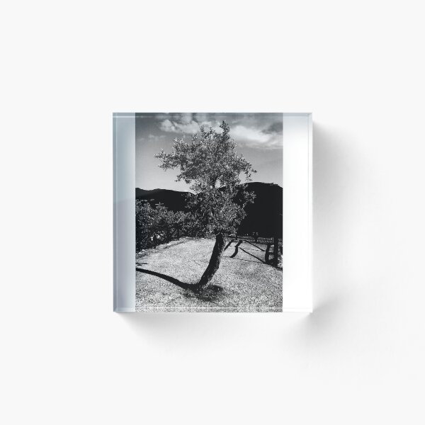 Aperçu de l'œuvre L'ARBRE créée et vendue par CDG142.