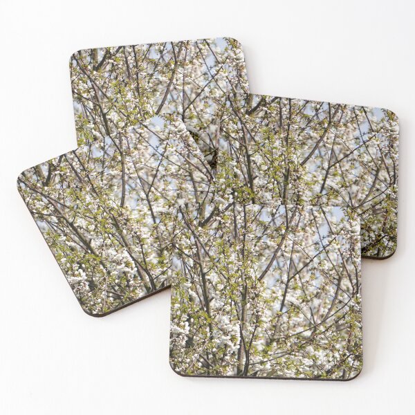 Item preview, White Wild Cherry Blossoms Against Blue Sky designed and sold by pigeonlovrs.