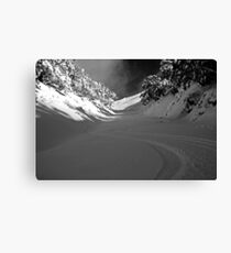 First Tracks Canvas Print