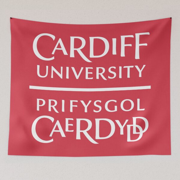 Item preview, Cardiff University Logo T-Shirt | Alumni & Student Gift designed and sold by BestDetailer.