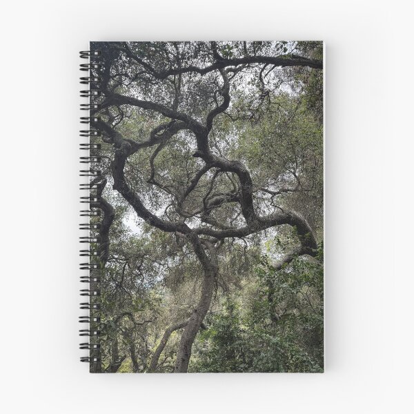 Item preview, Twisted Oak designed and sold by Douglas E. Welch Design and Photography.