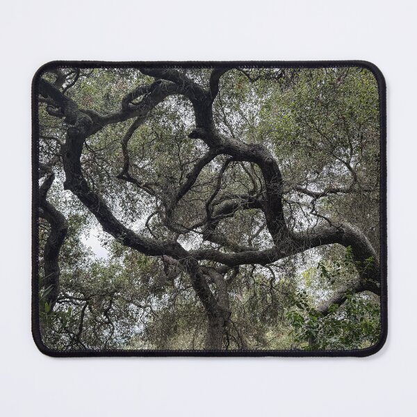 Item preview, Twisted Oak designed and sold by Douglas E. Welch Design and Photography.