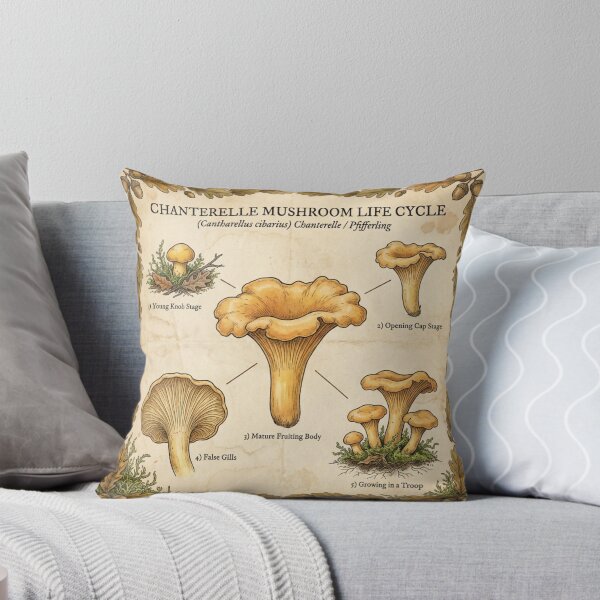 Item preview, Chanterelle Cantharellus Cibarius Life Cycle Illustration designed and sold by IdeaSmith.