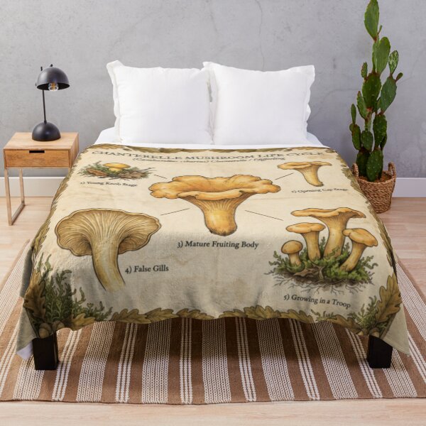 Item preview, Chanterelle Cantharellus Cibarius Life Cycle Illustration designed and sold by IdeaSmith.