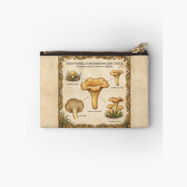 Item preview, Chanterelle Cantharellus Cibarius Life Cycle Illustration designed and sold by IdeaSmith.
