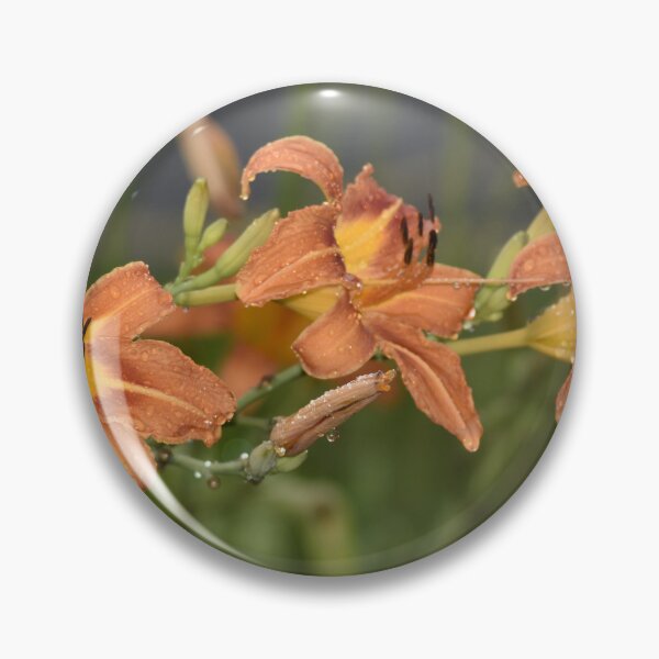 Item preview, Orange Daylily Flowers Close Up designed and sold by TathataPhotos.