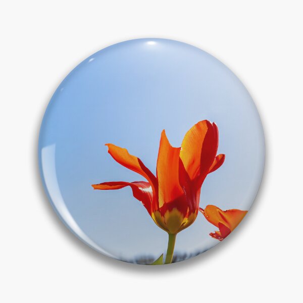 Item preview, Vibrant Tulips Under Clear Sky in Rosenborg Castle Garden designed and sold by jrtwynam.