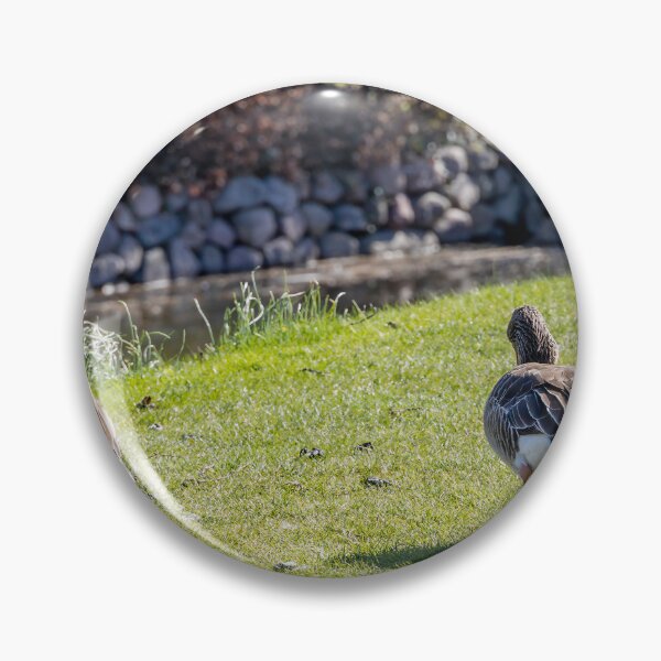 Item preview, Canada Geese by Rosenborg Castle Moat in Copenhagen designed and sold by jrtwynam.