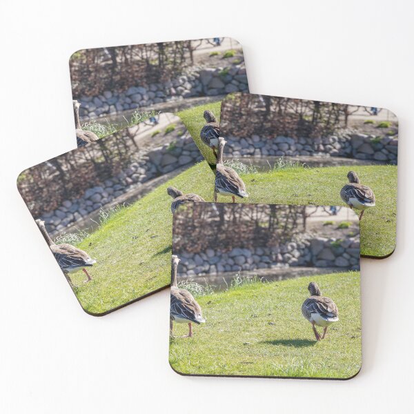 Item preview, Canada Geese by Rosenborg Castle Moat in Copenhagen designed and sold by jrtwynam.