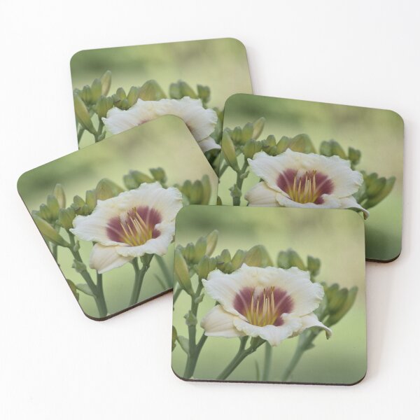 Item preview, Cream Daylily Flower Macro Photography designed and sold by TathataPhotos.