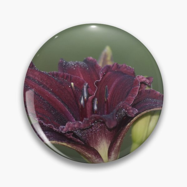 Item preview, Burgundy Daylily Flower Bloom designed and sold by TathataPhotos.