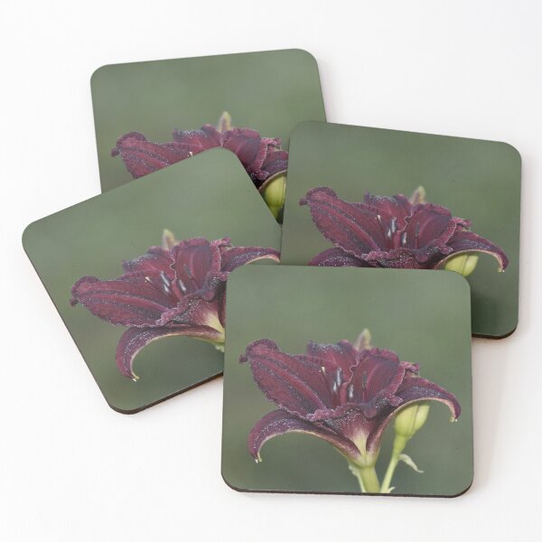 Item preview, Burgundy Daylily Flower Bloom designed and sold by TathataPhotos.