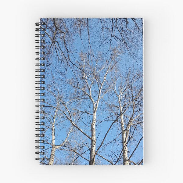 Item preview, Leaflless trees on blue sky background designed and sold by Dniprianka.